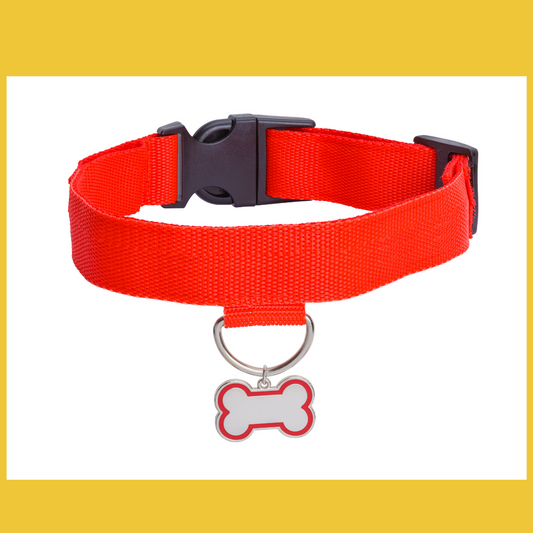 Red Dog Collar